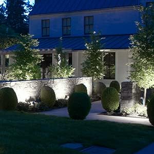 T-SUNUS Halloween Solar Spotlights Cold White 6000K IP65 Waterproof 2-in-1 Outdoor Landscape Spot Lights Garden Light for Flag Christmas Tree Yard Driveway Porch Walkway Patio Statue Graveyard 4 Pack