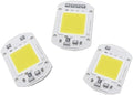 10pcs Plant Grow Light LED 220V 20W Cold White 6500K Driverless COB LED Chips Light for Garden