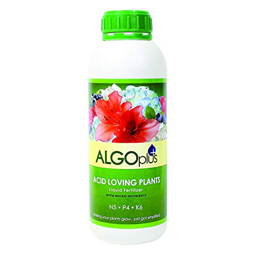 IMUSTGARDEN AlgoPlus 532 1 Litre Acid Loving Plants Liquid Fertilizer (N5 - P4 - K6)