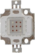 10PCS 10W COB CHIP Plant Grow Lights High Power LED Lamps Pink 300mA 20-24V Red Blue 30mil EPILEDS Chip