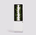 Just Vertical EVE Tower Garden | Hydroponic Growing System | Grow 12 Fresh Herbs &amp Vegetables Year-Round | Self-Watering Energy-Efficient LED Compact Design Fully Assembled | White