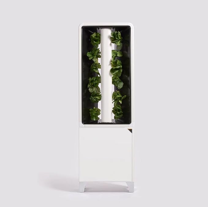 Just Vertical EVE Tower Garden | Hydroponic Growing System | Grow 12 Fresh Herbs &amp Vegetables Year-Round | Self-Watering Energy-Efficient LED Compact Design Fully Assembled | White