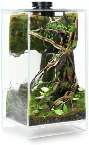 Desktop Glass Plant Terrarium with Grow Light(L7.8 W7.8 H14) for Succulent Moss Miniature Gardening Landscape Betta Fish Tank Indoor Plant Growth Office Home Decoration (TimeControlled)