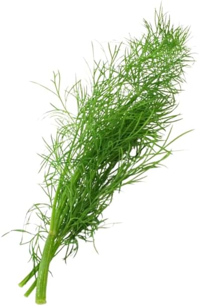 Fernleaf Dill - Complete Seed Pod Plugs with Plant Food - 10 Pods for Hydroponic Gardens Click and Grow Lettuce Grow and Outdoor Gardens