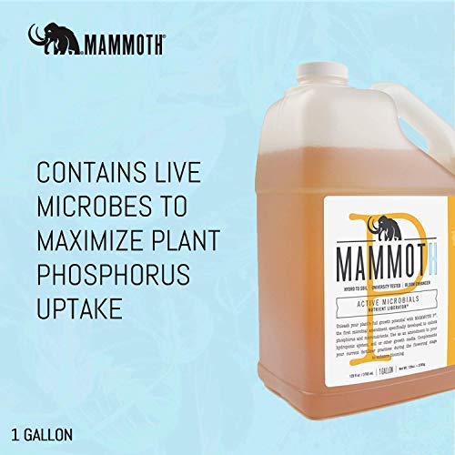 Mammoth P Organic Fertilizer Microbial Inoculants 16% Increase in Yield Maximize Phosphorous and Enhance Plant Health Nutrient Supplement Proven to Grow Bigger Yields - 1 Gallon/4 Liter