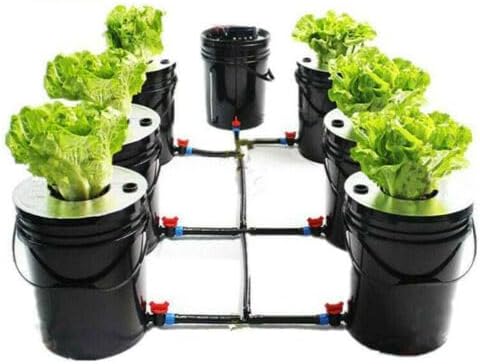 TBVECHI 7 Buckets DWC Hydroponics Grow System with Top Drip Kit 5 Gallon Deep Water Culture Bucket System Full Set of Recirculating Drip Garden System with Air Hose Air Pump Air Stone