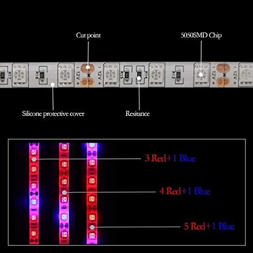 Fengyan Landscape Lights Full Spectrum LED Grow Lights 5 Meters LED Grow Strip Lights SMD 5050 300 LEDs Fitolampy Bulb DC 12V for Plants Seeds Growing LED Street Lamp