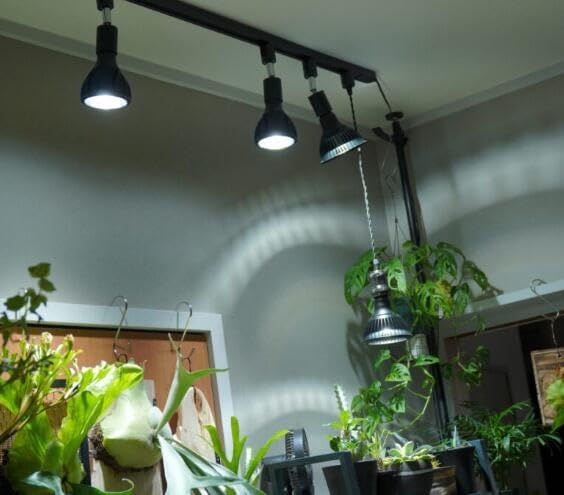 1x 19.6 in Track with Timer Switch Plug in Cord 3X Track Light Adjustable Angle 1x Adjustable Wind Speed Mini Fan Track Mount for Indoor Plants Shelf