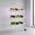 Hydroponic Grow Kit - Wall-Mounted System with 36 Plant Sites Food-Grade PVC-U Pipes Water Pump Timer Nest Basket &amp Sponge for Leafy Vegetables