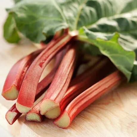 Victoria Rhubarb Crown - Perennials Bulk &amp Wholesale Rhubarb Crown Ready to Plant | Easy to Grow Comes Back Every Year (4 Pack)