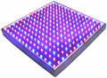 HQRP 14W 225 LED Blue + Red Spectrum Hydroponic Plant Grow Light Panel/Lamp