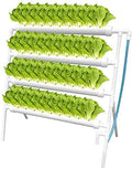 Hydroponic System Hydroponic Growth Kit PVC Hydroponic Test and Hydroponic Garden Plant System Vegetables Fruits Flowers 36 Plant SitesA