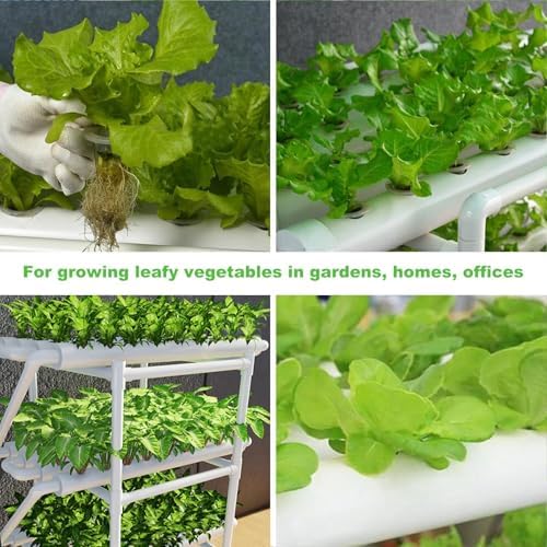 Hydroponics Growing System 1 Levels 36 Sites/Hydroponic Planting Vegetables Garden Tools with Water Pump Timer Nest Basket Growth Sponge for Vegetables Flowers Fruits