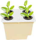 Hydroponic PlanterSoilless Cultivation Gardening SuppliesHydroponic Grow Buckets | for Indoor Outdoor Windowsill Balcony Greenhouse Tomato Cucumber Fruit