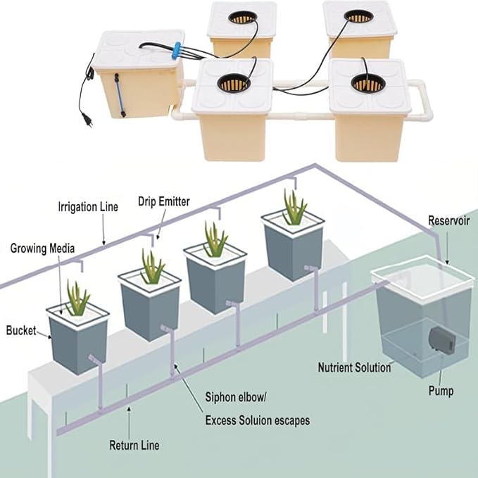 DWC Hydroponics Grow System Kit with 5-Bucket /2.91-Gallon Deep Water Culture Triangular Cover Design Recirculating Top Drip Kit 4W Air Pump with Hose（Including Cultivation Soil ）