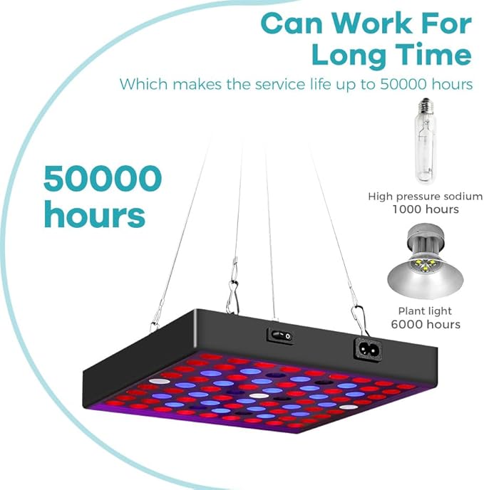 200W LED Full Spectrum100-277V Indoor Planting Seedling Cultivation Red and Blue Light 169LEDs Greenhouse Tent Fruit Fill Lighting Hydroponic Flower Moss Potted Cactus Lights US Plug with Hook Hanging