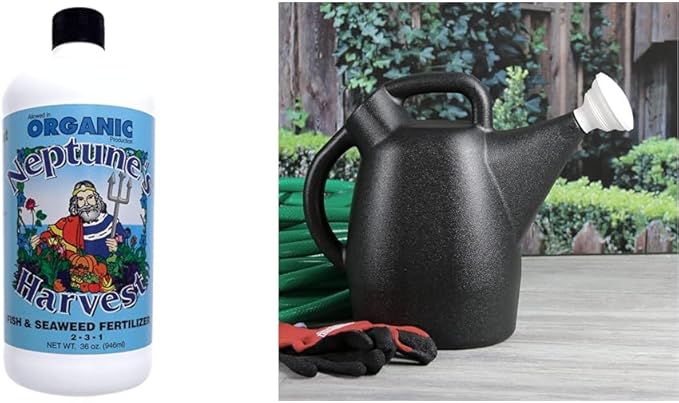 Neptune's Harvest 2-3-1 Fish &amp Seaweed Fertilizer (36 Oz) and Chapin 2 Gallon 100% Recycled Outdoor/Indoor Watering Can with Leak Free Nozzle