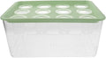 Toyvian Desktop Hydroponic System: Modern Hydro Grow Cabinet with Fish Tank Base - Herb Garden for Countertop Planting - Fish Tank Vegetable Garden