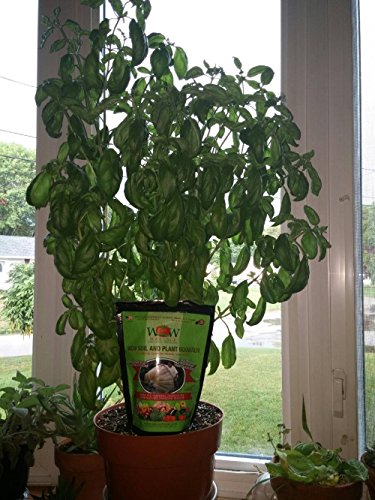 Wallace Organic Wonder Super Grow Your Tomatoes Vegetable Flowers and Herbs Kit