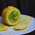 2 Lemon Cucumber Plants Live for Planting Live Cucumber Plants for Planting 4 to 7 Inches Tall Vegetable Plant