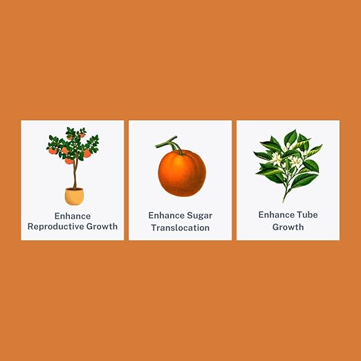 Liquid Citrus Essentials | (16 fl. oz.) | Increase Yield and Health of Citrus Trees | Liquid Fertilizer for Citrus Trees | Foliar Applied | EDTA Free | Amino Acid Complexed Nutrients