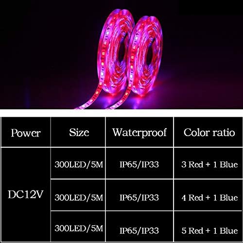 Fengyan Landscape Lights Full Spectrum LED Grow Lights 5 Meters LED Grow Strip Lights SMD 5050 300 LEDs Fitolampy Bulb DC 12V for Plants Seeds Growing LED Street Lamp