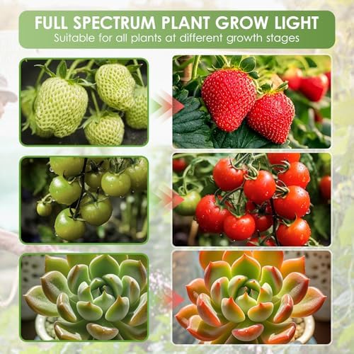 2-Head LED Grow Light for Indoor Plants Adjustable Clip-On Plant Lamp with 3 Light Modes &amp Timer (3/9/12H) - Flexible Gooseneck Design for Optimal Growth