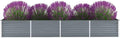 Garden Raised BedElevated Planter BoxRaised PlanterGarden BoxGarden BedPlanterfor Backyard Patio to Grow Vegetables Herbs and Flowers Galvanized Steel 126x31.5x17.7 Gray