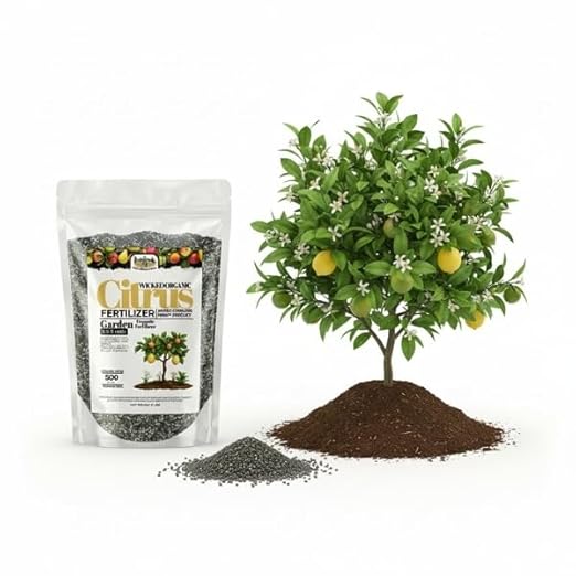 Old Cobblers Farm™ Wicked Organics Organic Citrus Fertilizer - Balanced Nutrition Supports Healthy Roots Green Foliage &amp Flavorful Fruit (5 lbs | 10 lbs | 15 lbs | 20 lbs) (5 lbs)