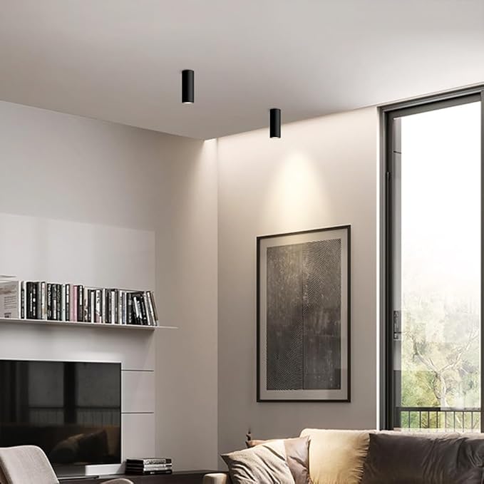 Spotlight Cylinder Flush Mount Spotlight Fixture 7w 4000k Directio l Spotlights Accent Lamps for Living Room Bedroom Hallway