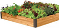 Gardener's Supply Company Cedar Raised Garden Bed | Weather Resistant Outdoor Planter Box for Plants Herbs Flowers &amp Vegetables with Rust-Proof Aluminum Corners | 4ft W x 6ft