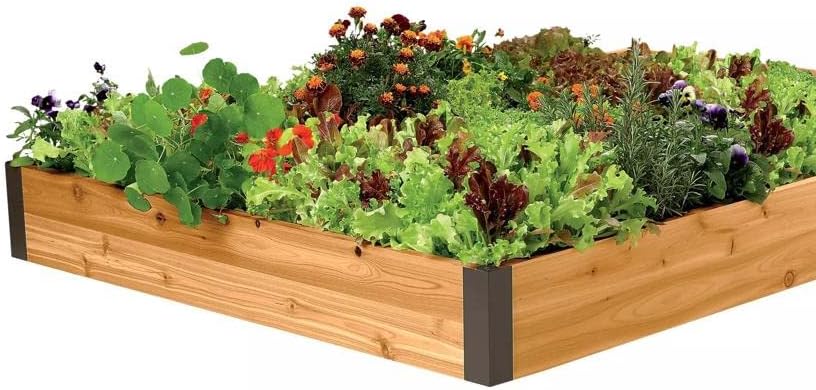Gardener's Supply Company Cedar Raised Garden Bed | Weather Resistant Outdoor Planter Box for Plants Herbs Flowers &amp Vegetables with Rust-Proof Aluminum Corners | 4ft W x 6ft