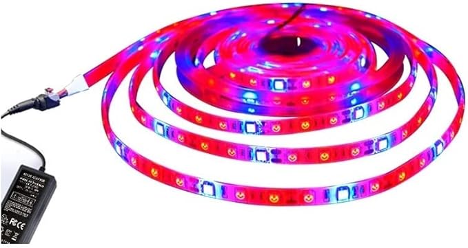 Fengyan Landscape Lights 5m 5050SMD DC12V 60leds/m LED Strip Light Indoor Plant Grow Light 3 Red 1 Blue 4 Red 1 Blue 5 Red 1 Blue LED Street Lamp (Color : 5 red and 1 Blue Size : IP65)
