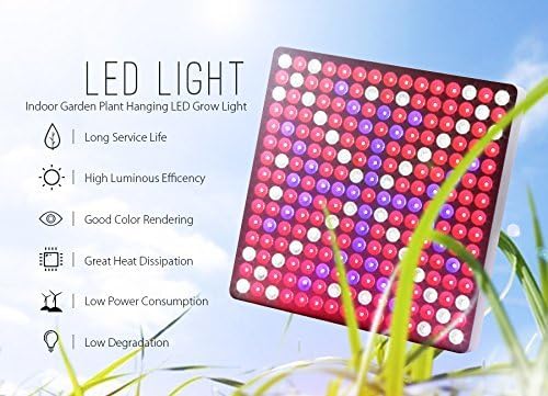 Grow Light - BANGWEIER 50Watt LED Grow Light - Red White And Blue LEDs 50000 Hour Life Span 2900 Lumen