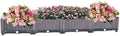 YSUEFIJO Planter Box Outdoor Raised Raised Garden Bed for Vegetables Garden Bed Kit Plastic with Drainage Holes for Flowers Herbs Fruits