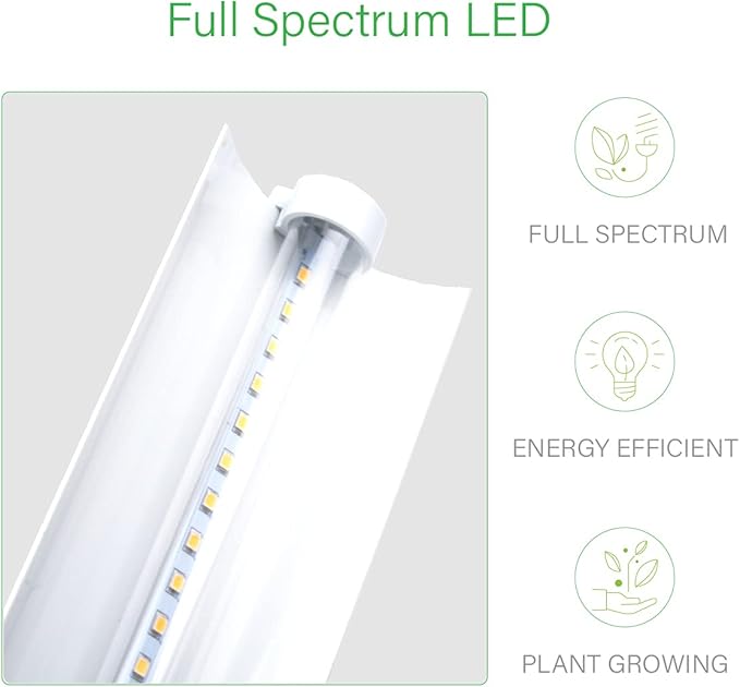 2 feet LED Grow Light Stand for SeedlingIron Pipe Framewith Natural White Light Full Spectrum LED Plant Growing Lamp Light Height Ajustablewith Timer Outlet