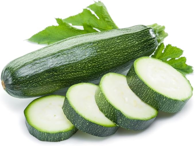 2 Green Zucchini Plants Live Zucchini Plants in Pot Summer Squash for Outdoor Garden 3 to 6 Inch Tall Plant