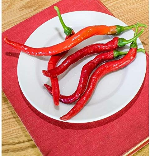 Witch Stick Pepper Seeds (300 Seed Package)