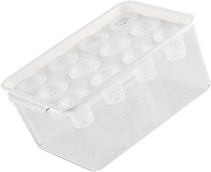 Modern Hydroponic Growing Setup Container Featuring Viewing Window for Home Vegetables Plant Progress Plant Growing Greenhouse Container