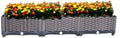 YSUEFIJO Raised Garden Bed with Self Watering Planter Box and Drainage Plug Elevated Vegetable Growing Bed Planter Raised Beds for Vegetables Flowers Herbs and Succulents