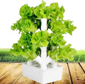 2/3/4 Columns Hydroponic Growing Kit Hydroponic Tower Grow Sys-TEMGift for Gardening Lover - Home GrowVeggies amp Fruit24Holes (24holes)