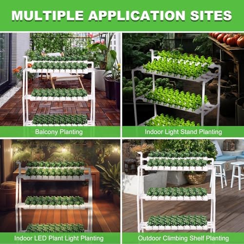 Hydroponics Growing System 1 Levels 36 Sites/Hydroponic Planting Vegetables Garden Tools with Water Pump Timer Nest Basket Growth Sponge for Vegetables Flowers Fruits