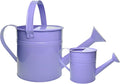 Small Metal Watering Can Set Pink 1.2L and 0.23L Garden Cans with Long Spout Indoor Outdoor Plant Care (Purple)