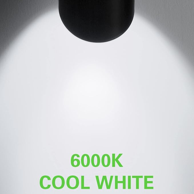 30W LED Landscape Spotlight Flag Pole Light110-260V Outdoor Spotlights Weatherproof Landscape Lighting with Stake US 3-Plug 8.2FT Cord 2PACK 3000LM(6000K Cool White)
