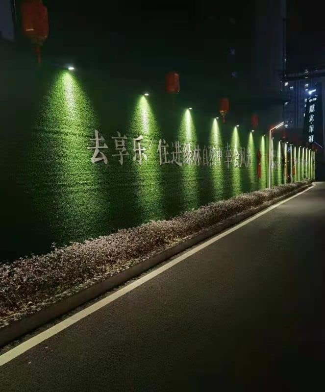Outdoor LED Spotlight Waterproof Bright Outdoor Landscape Automatic Timer Mini Lawn Lamp 24W Graden Lights with Ground Stake Lawn Decorative Lamp with Plug Courtyard Flag Light Cool White