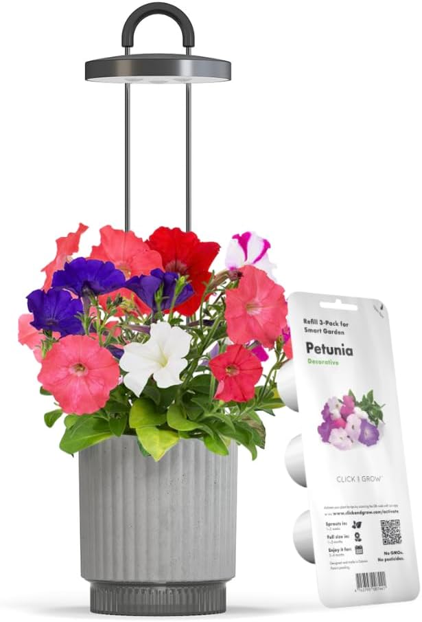 Mini Smart Planter Kit with Petunia Plant Pods by Click&ampGrow Hydrovase Indoor Garden Self-Watering Pot with Grow Light (Grey)