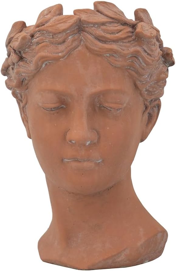 D7x11 Visage Head Bust Planter Brown