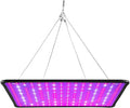 250W Full Spectrum Indoor Natural Red/Blue Plant Lamping 100-277V Succulent Hydroponic Growth Lights UV/IR Indoor Vegetable Planting Panel Lamps 110V Indoor Cultivation Seedling Red and Blue Lighting