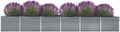 Garden Raised BedElevated Planter BoxRaised PlanterGarden BoxGarden BedPlanterfor Backyard Patio to Grow Vegetables Herbs and FlowersGalvanized Steel 236.2x31.5x17.7 Gray