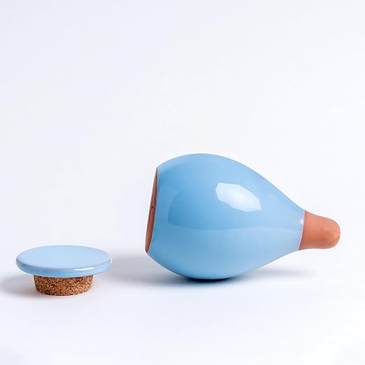 4-Pack Self Watering Planter Insert - 2 Blue and 2 Green Ceramic Watering Globes for Indoor Plants Terracotta Bulbs and Small Plant Pots - 300ml Capacity 1 Weeks Autonomy